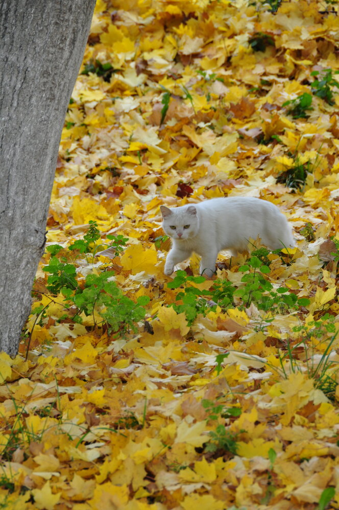 Photograph by Евгений Захаров