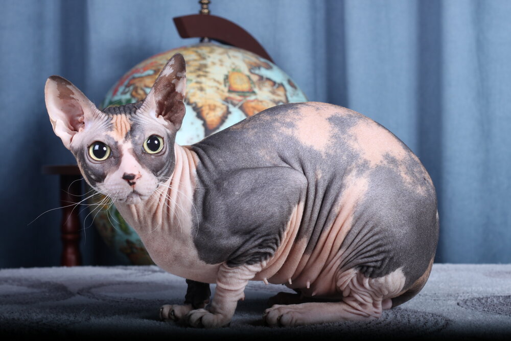 Photograph by YULIA SHAPOVALOVA