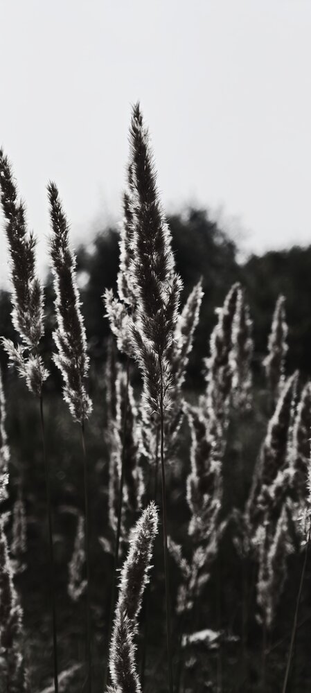 Photograph by Дарья