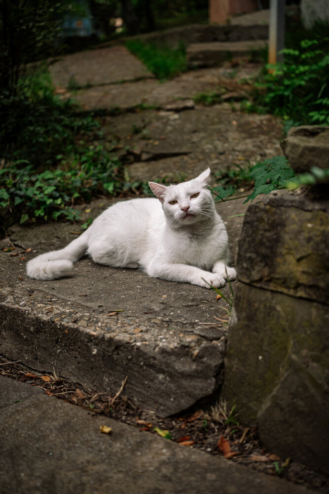 Photograph by Дмитрий Заворыкин