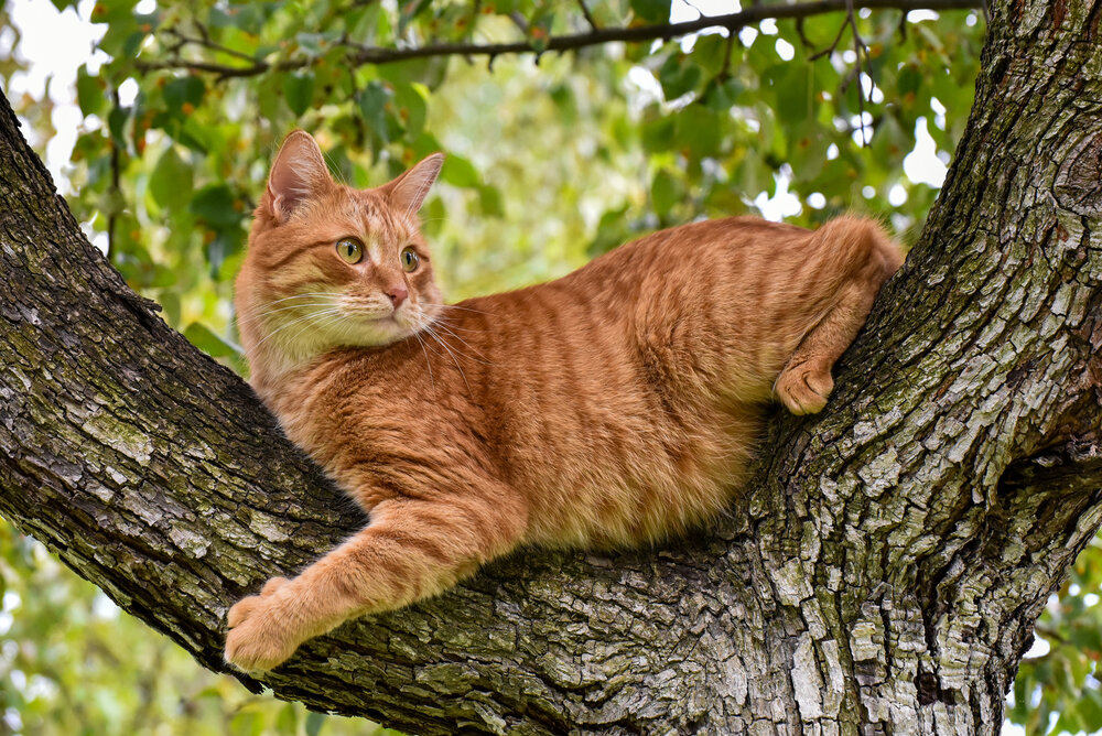 Photograph by Эдуард Шадров