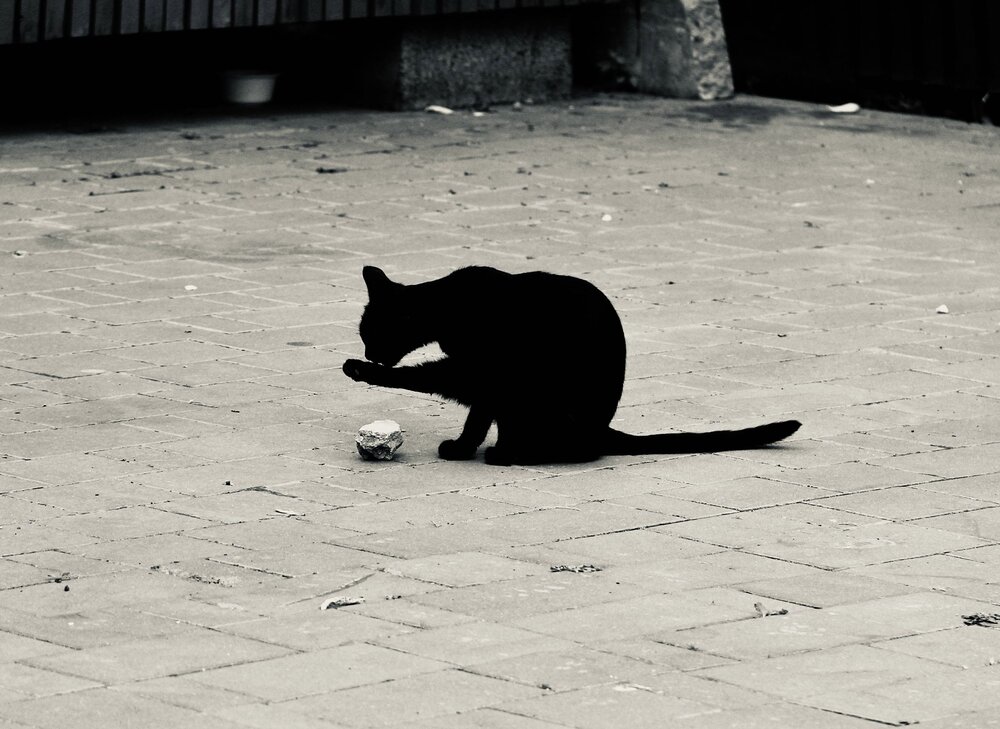 Photograph by Арина Фирсова