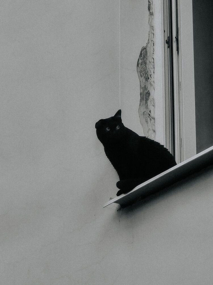 Photograph by Александра