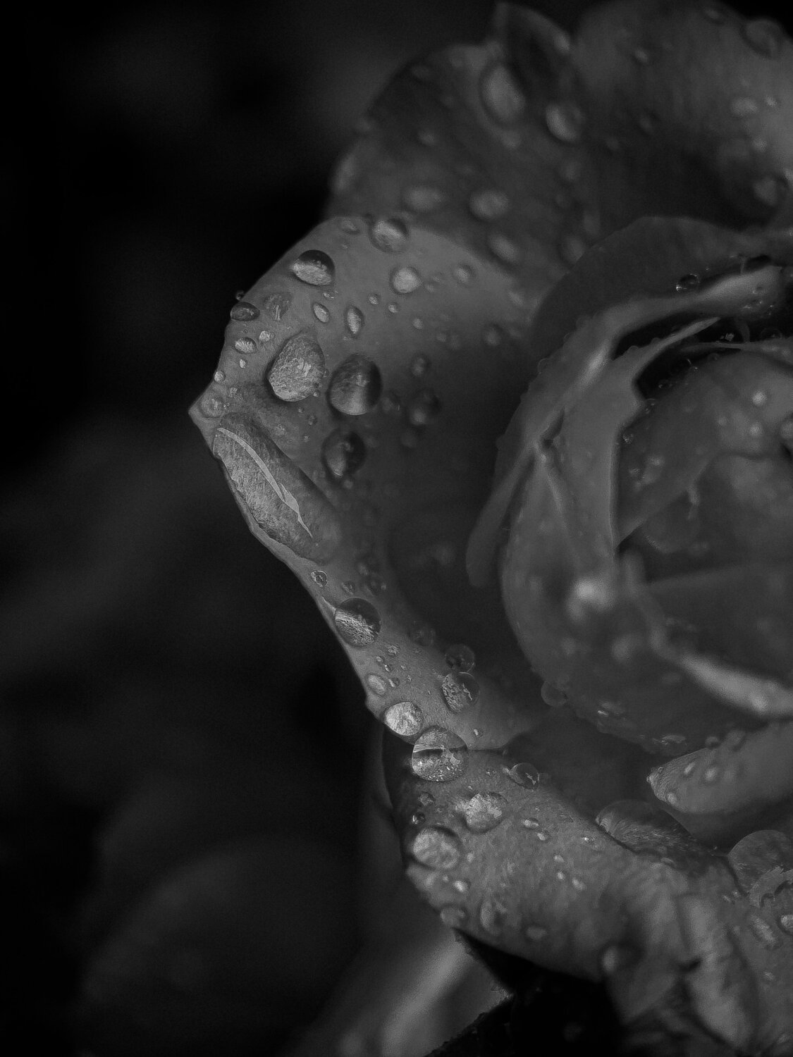 Photo #14042352