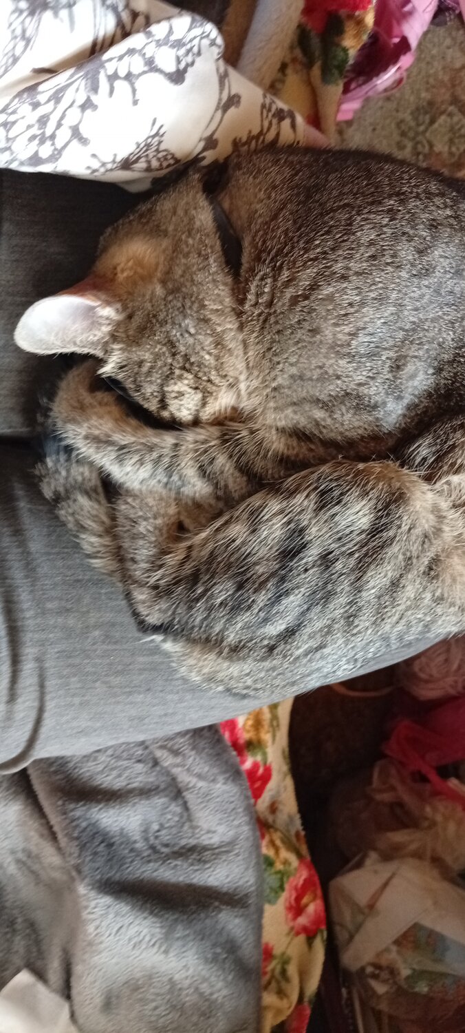Photo #14042353