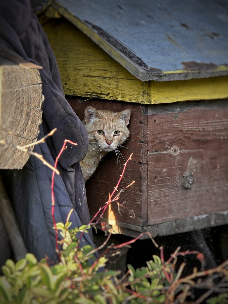 Photograph by Василина Курносова
