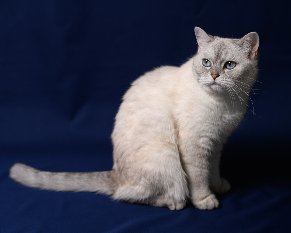 Photograph by Клейменов Алексей