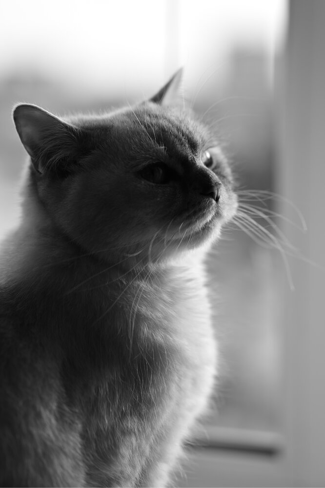 Photograph by Клейменов Алексей