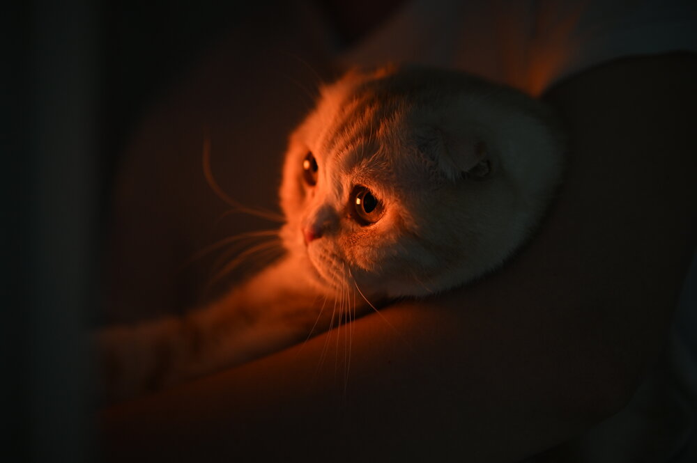 Photograph by Клейменов Алексей