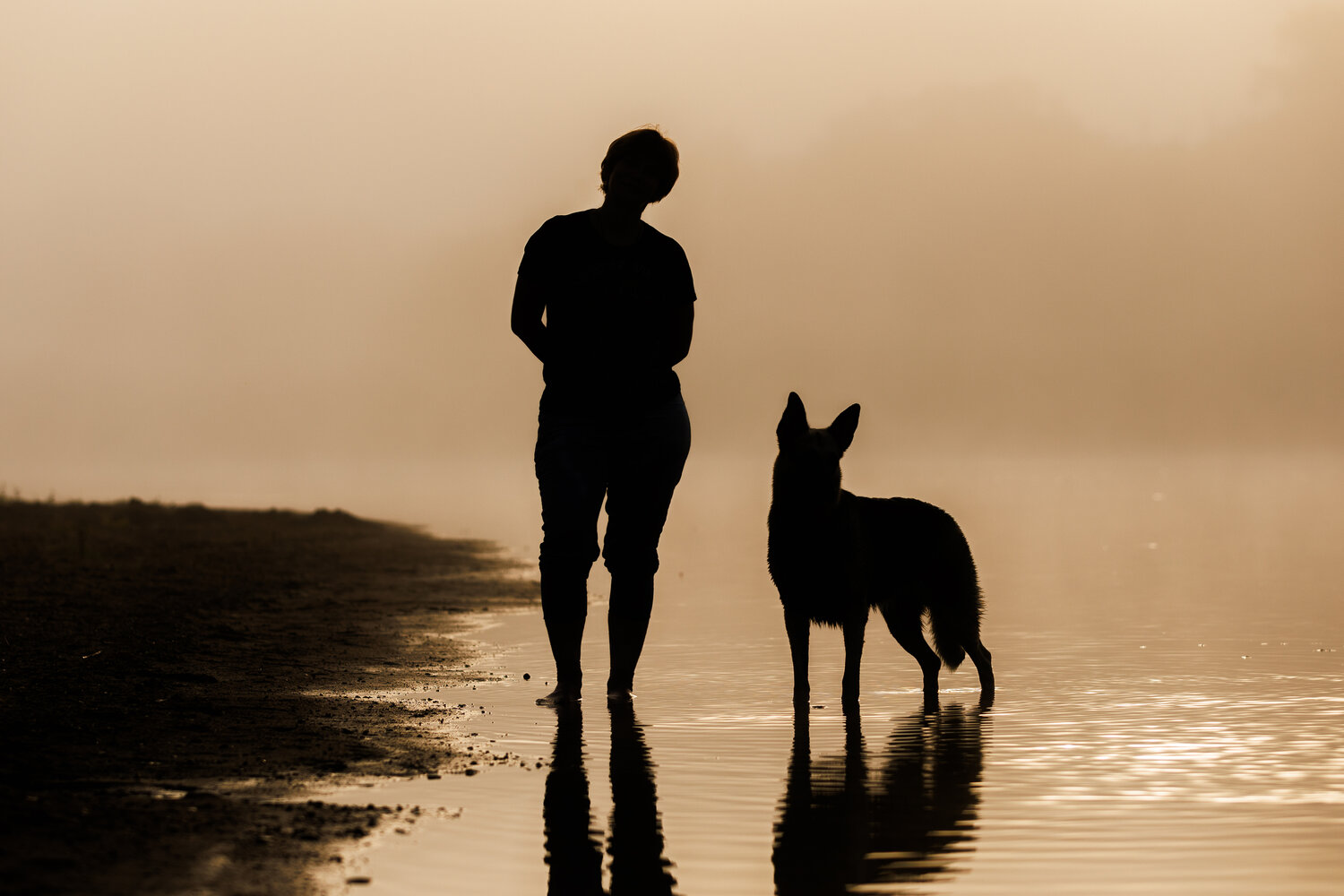 Photo #14042434