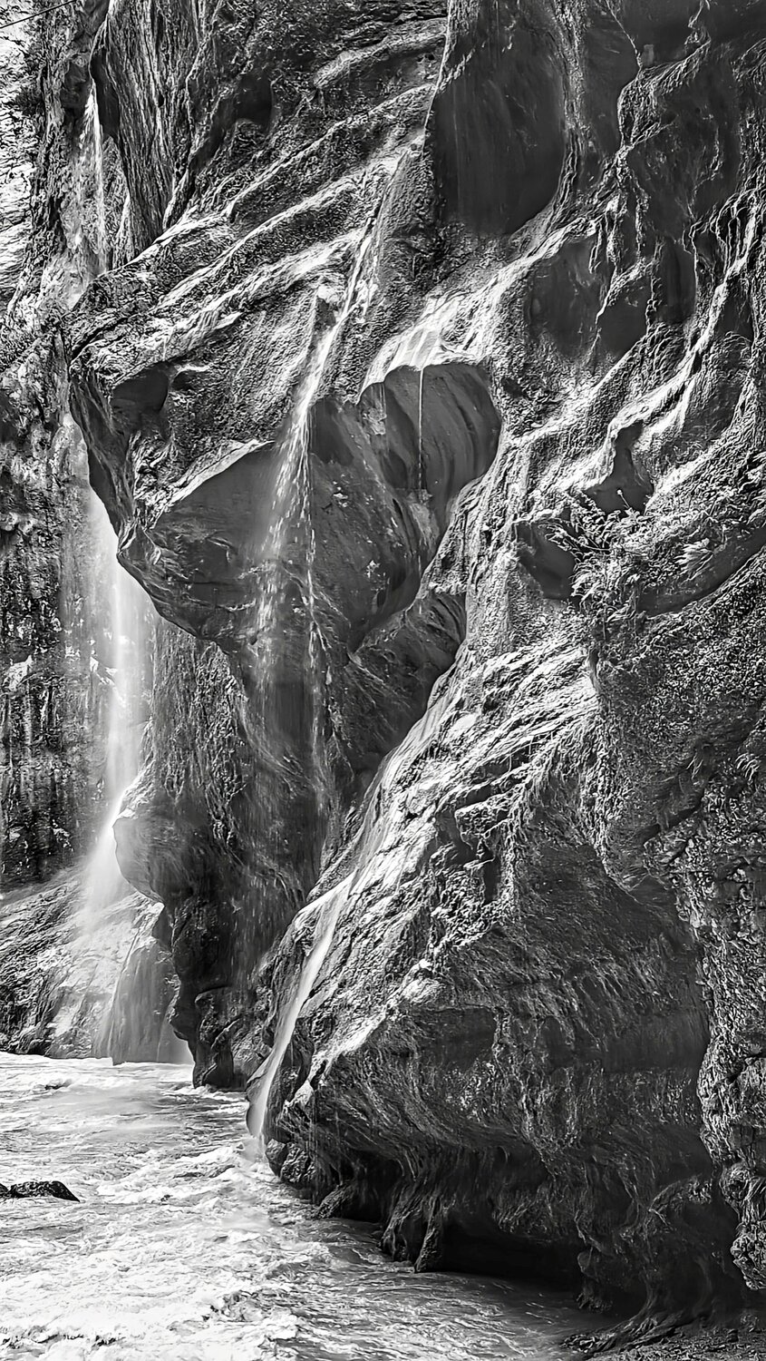 Photo #14042491