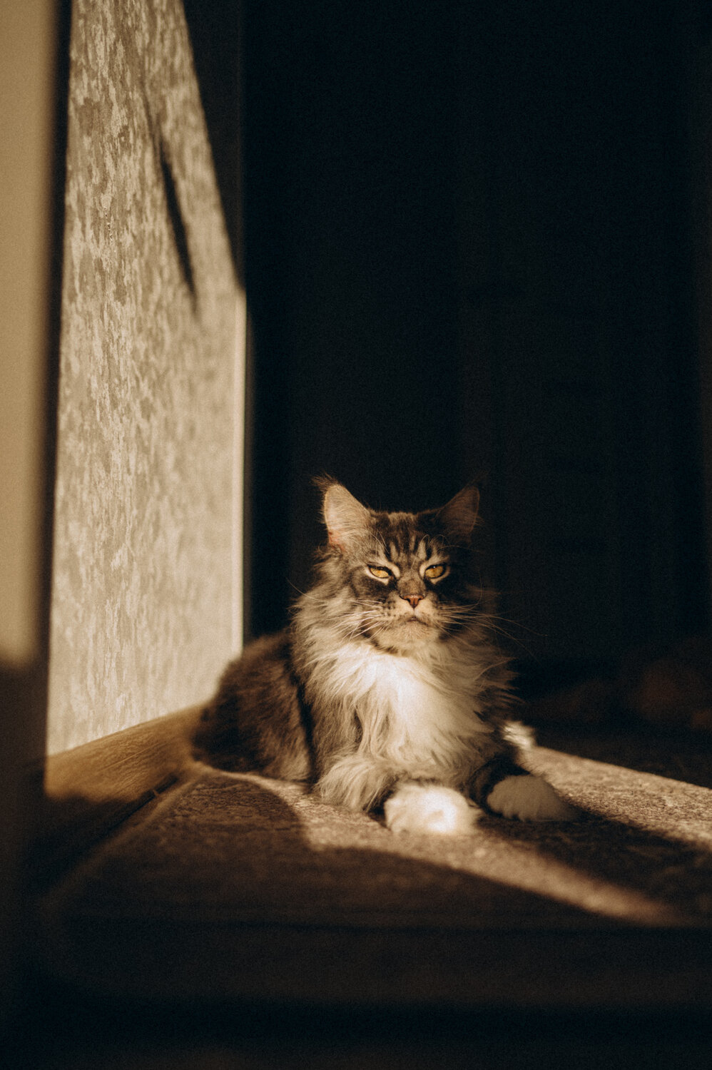 Photo #14042512
