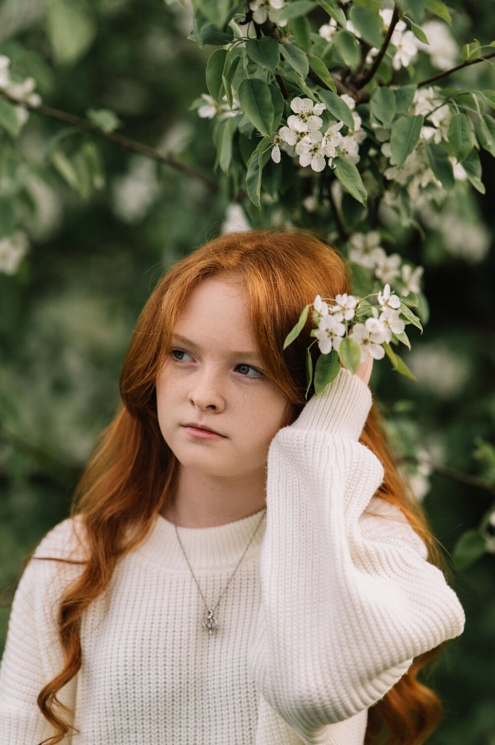 Photo #14042521