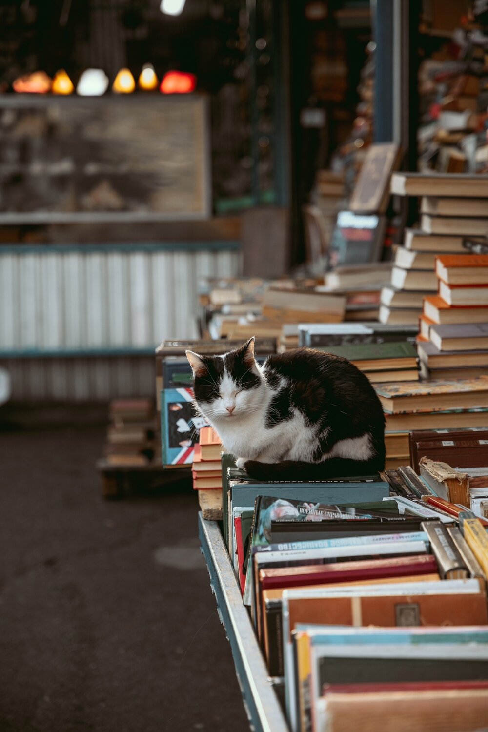 Photo #14042558