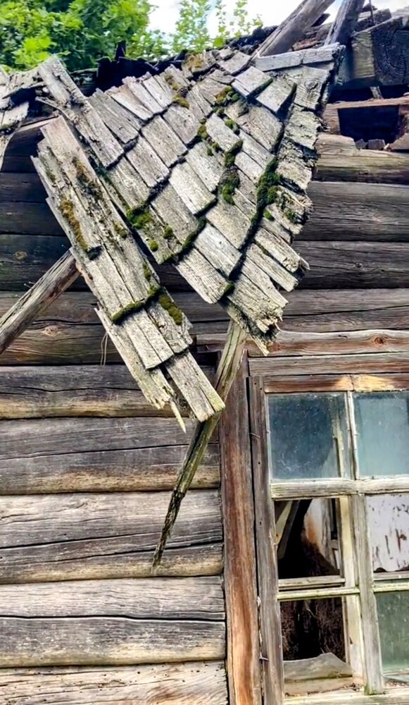 Photograph by Алла Узкая
