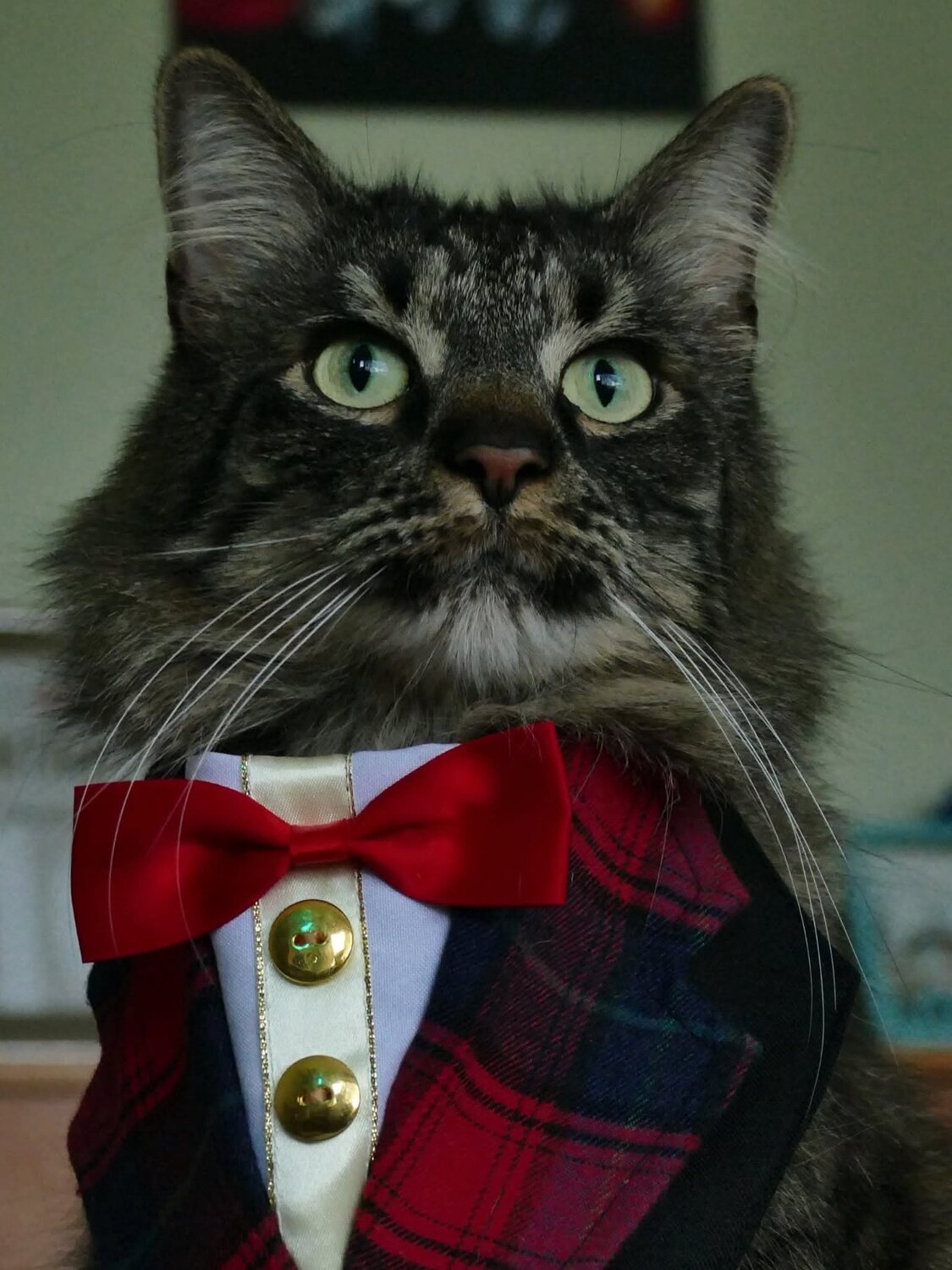 Photo #14042594