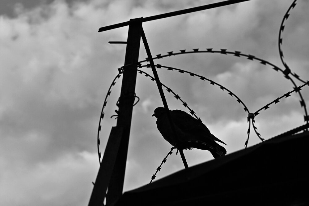 Photograph by Вострецов Александр