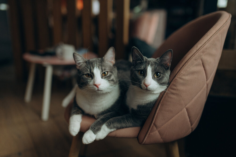 Photograph by Денисенко Катя
