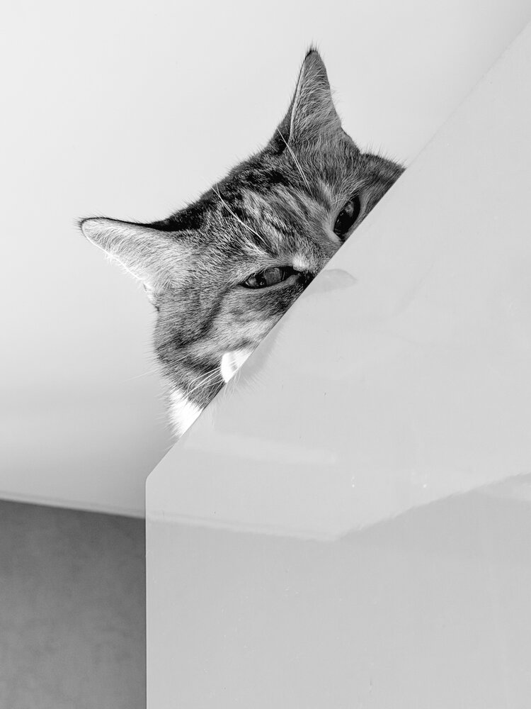 Photograph by Шейко Анна