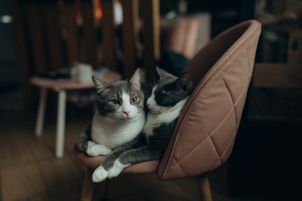 Photograph by Денисенко Катя