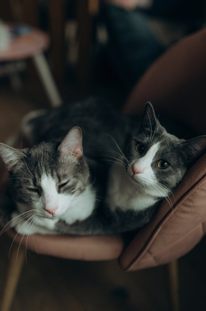 Photograph by Денисенко Катя