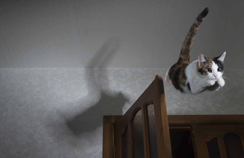 Photograph by Олег Григорьев