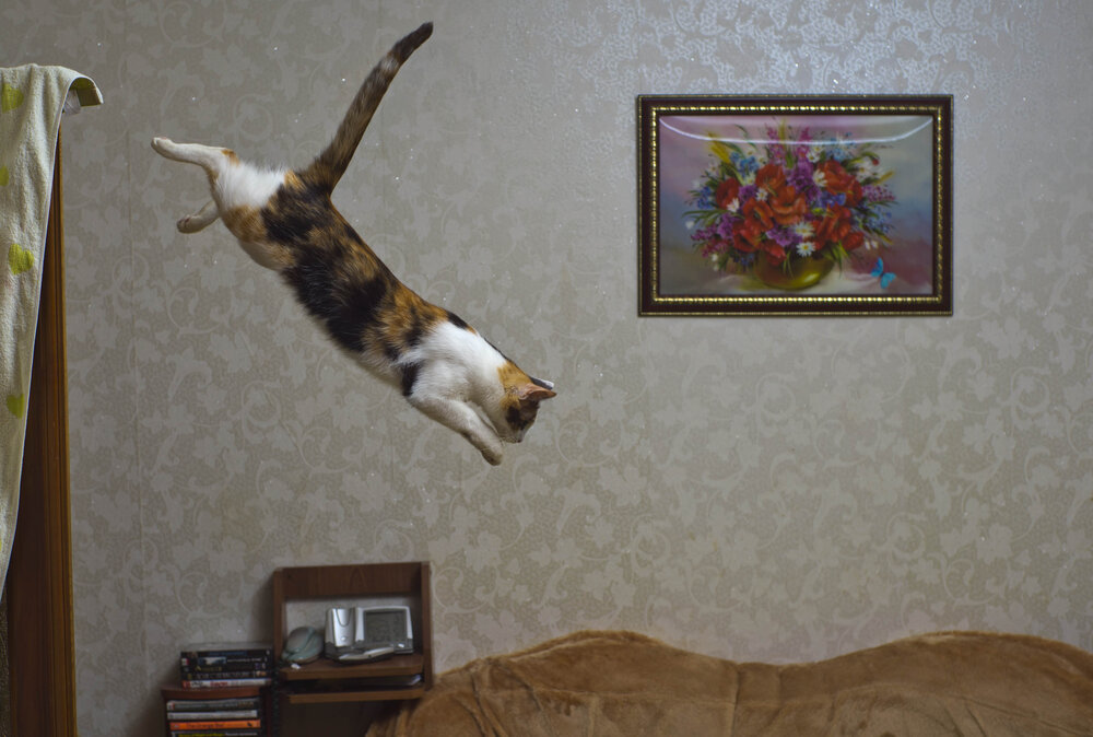 Photograph by Олег Григорьев