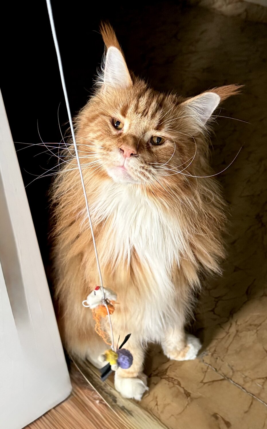 Photo #14042779