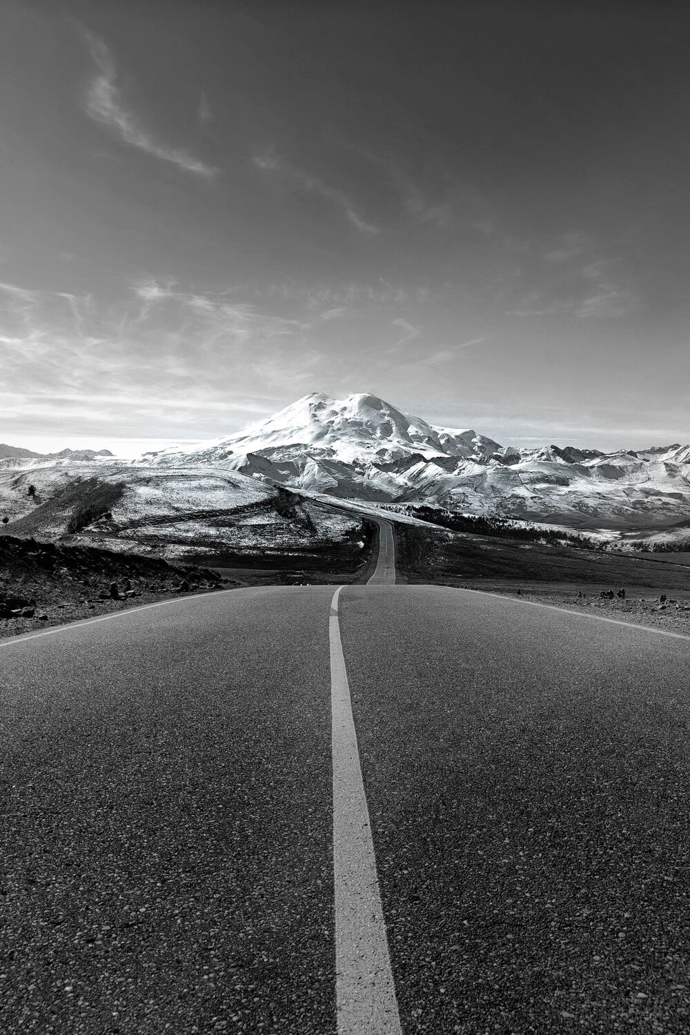 Photo #14042790
