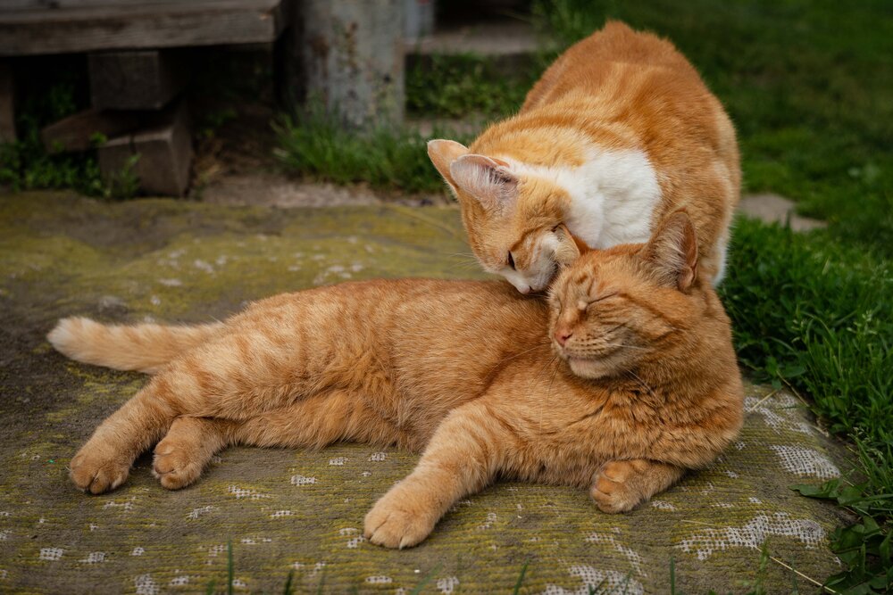 Photograph by Владислав Лопатов