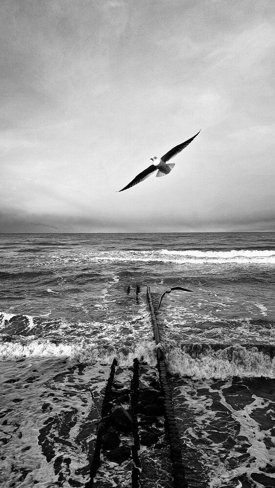 Photograph by Новиков Алексей