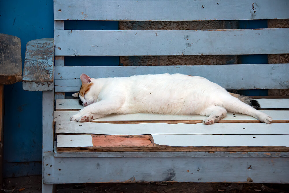 Photograph by Victor Oknyansky