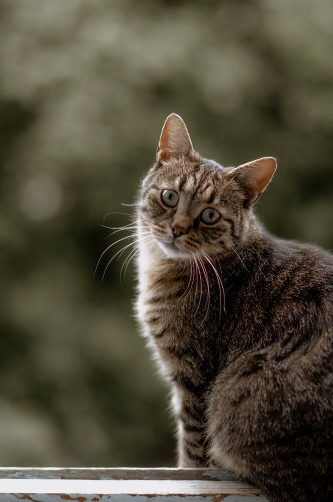 Photograph by Наталья Малёнкина