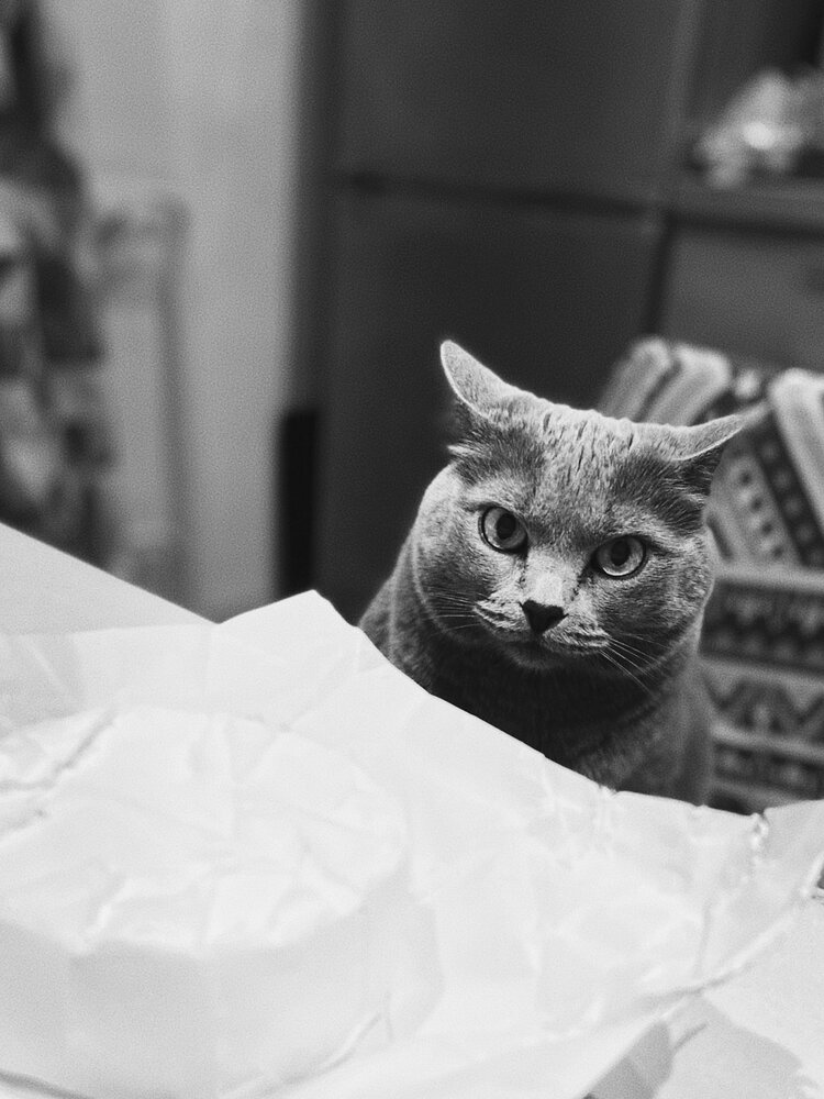 Photograph by Юля Комкина