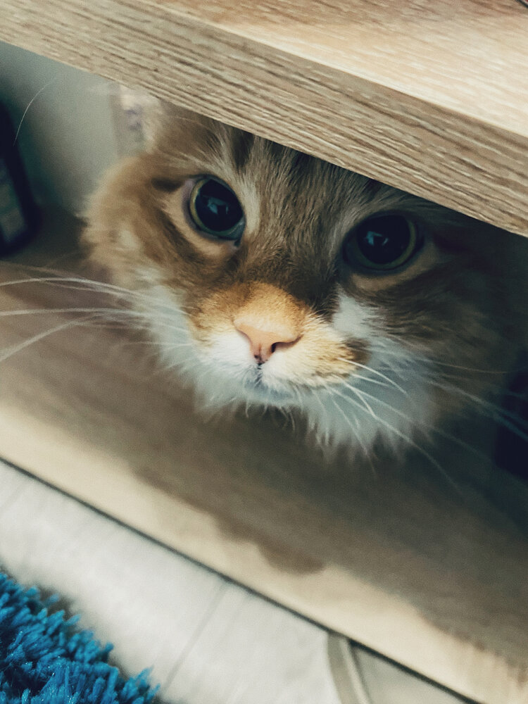 Photograph by Юля Комкина