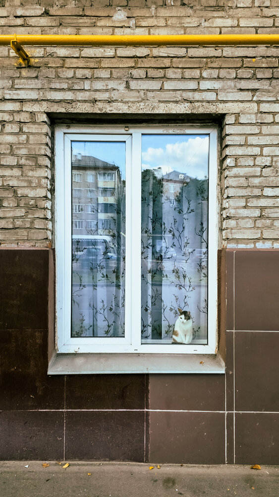 Photograph by Анастасия Апархова