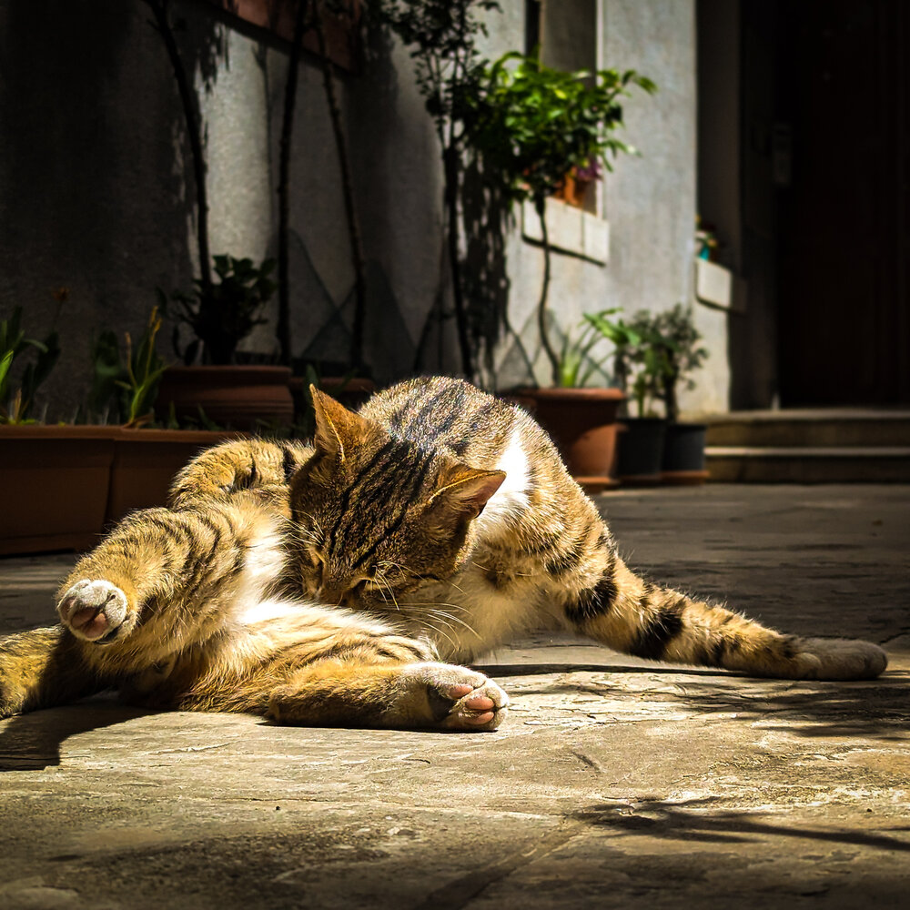 Photograph by Lenar Valeev