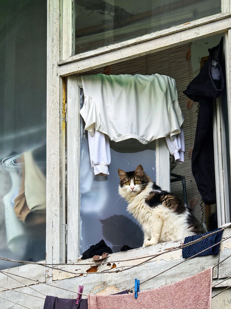 Фотография автора Мария Кутасина
