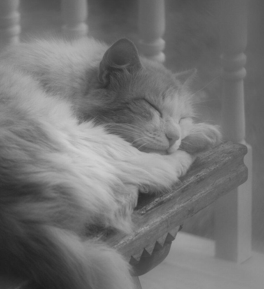 Photograph by Olga