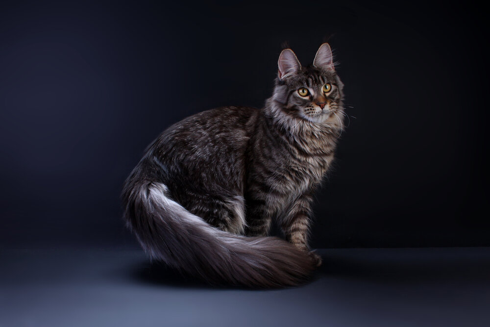 Photograph by Альвина Кузнецова