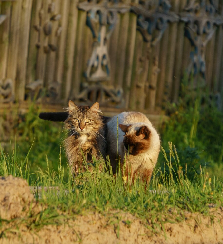 Photograph by Olga