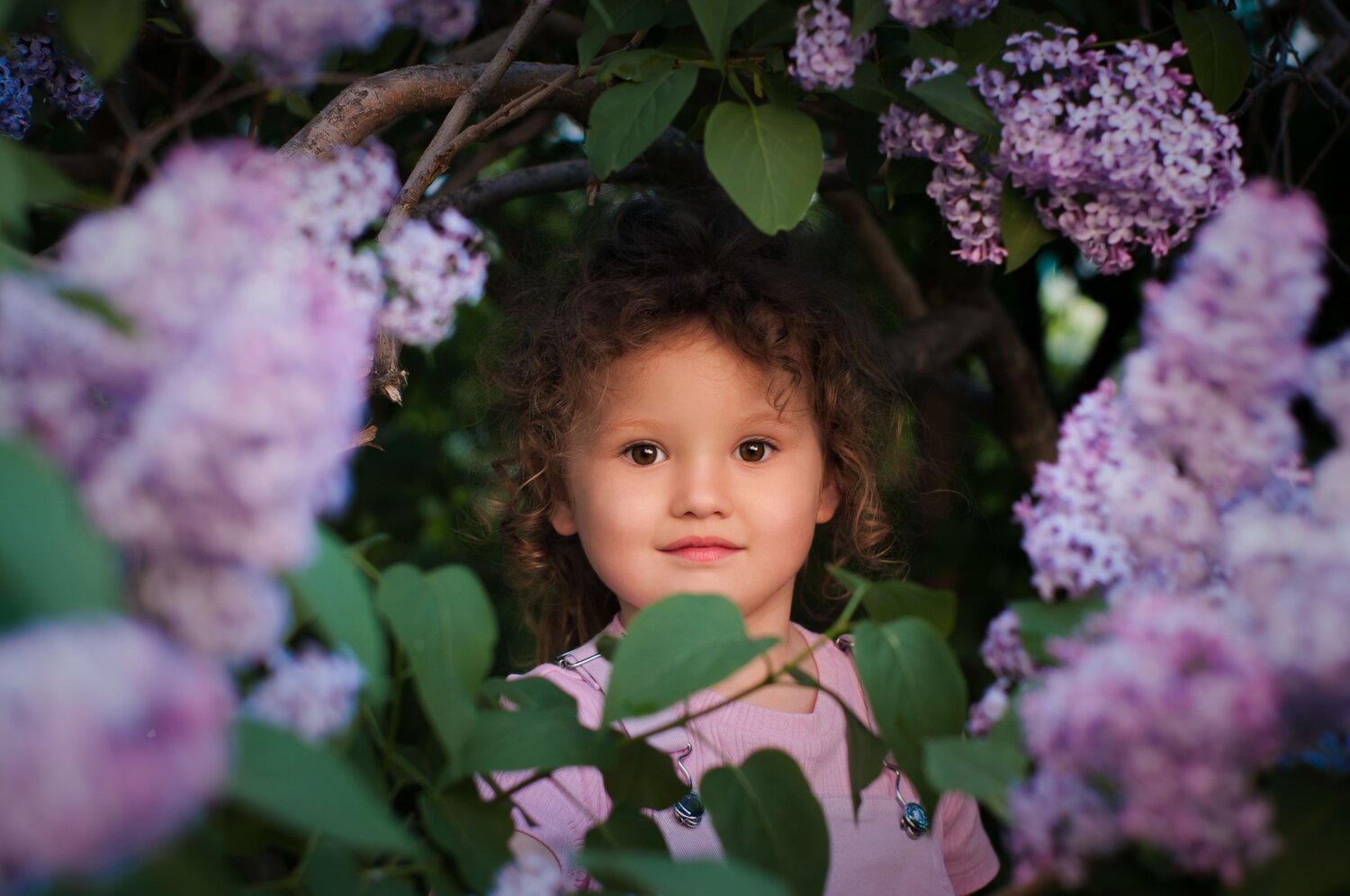 Photo #14043264