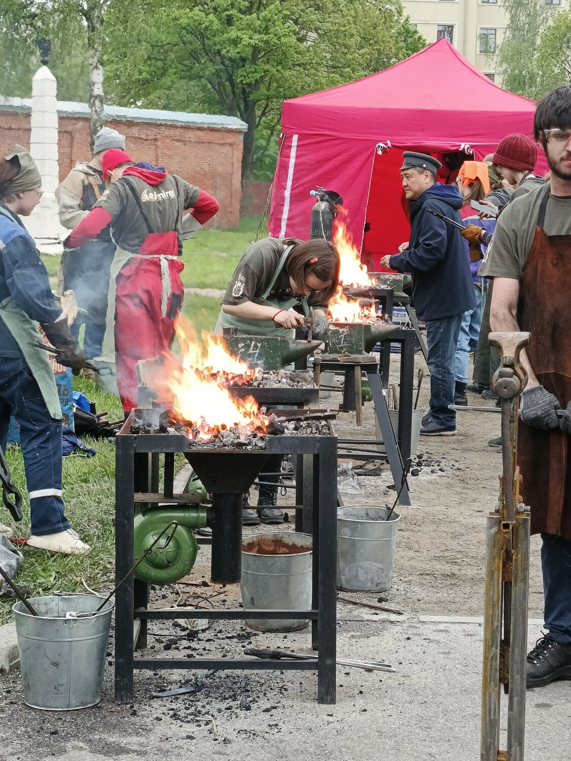 Photo #14043298