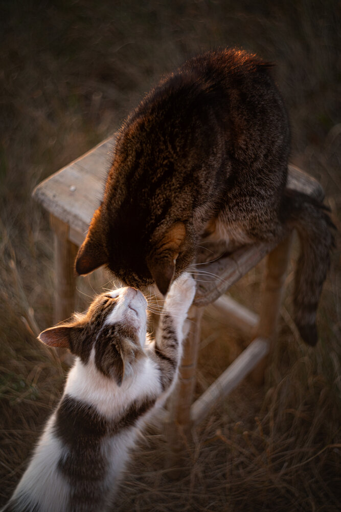 Photograph by Юлианна Митрофанова