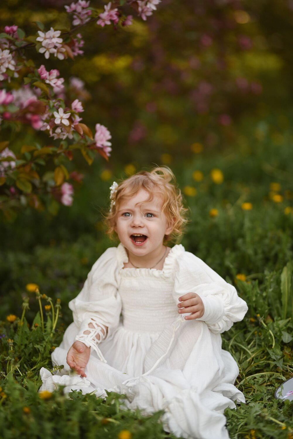 Photo #14043337