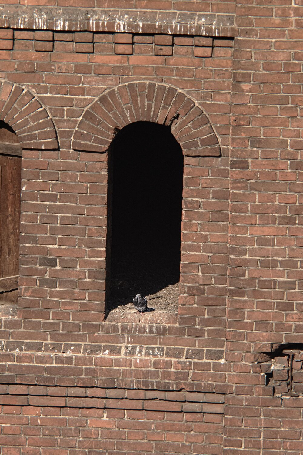 Photo #14043523