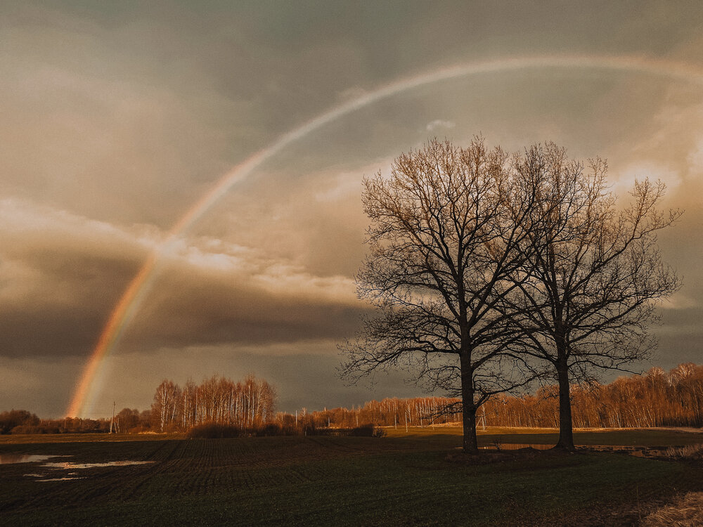 Photograph by Светлана Долганова