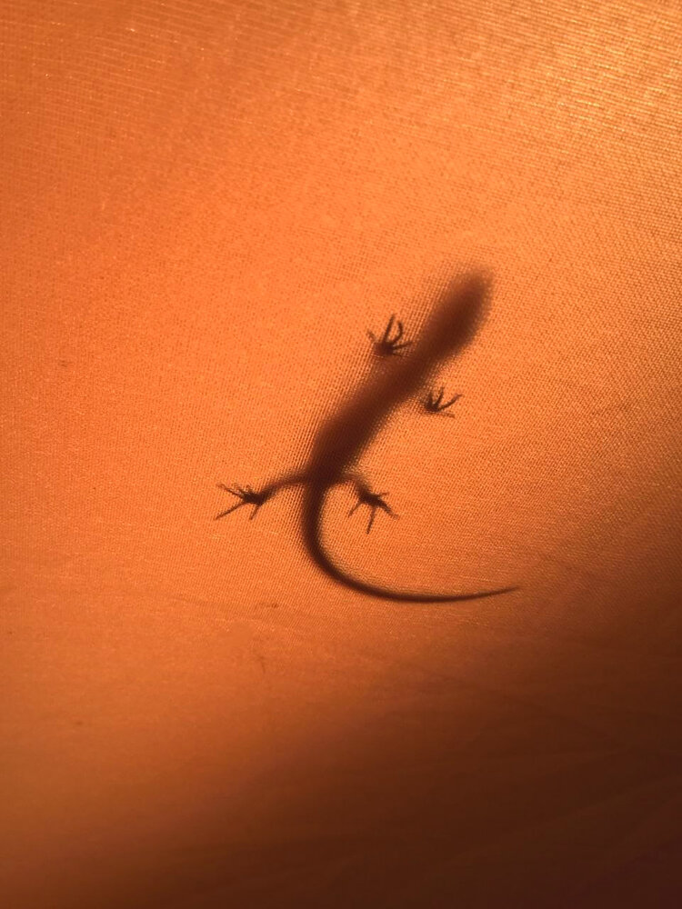Photograph by Даниил Богомолов