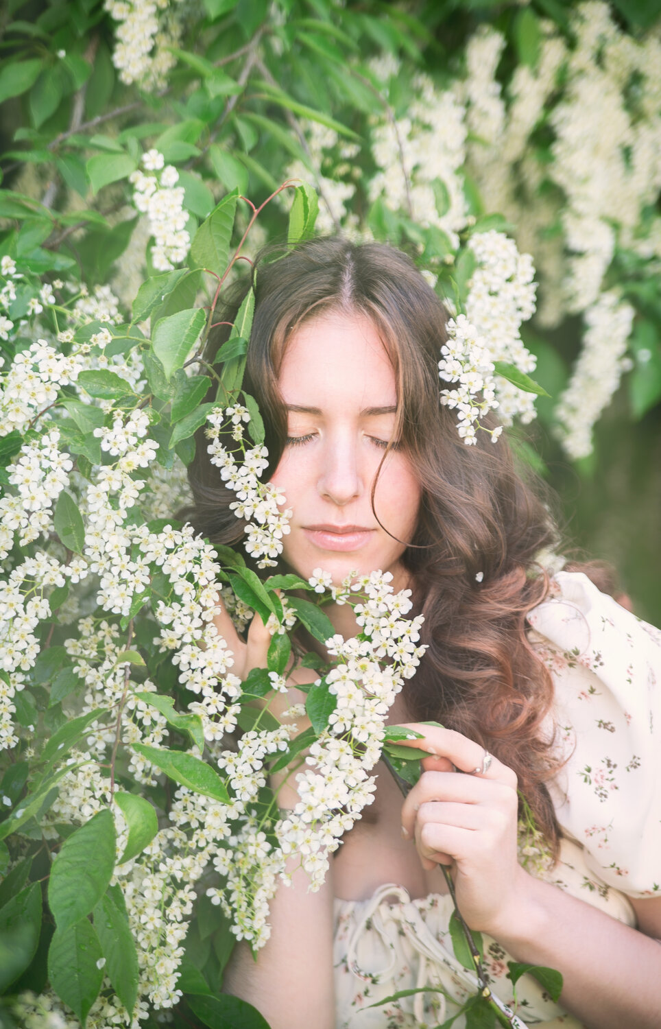 Photo #14043544