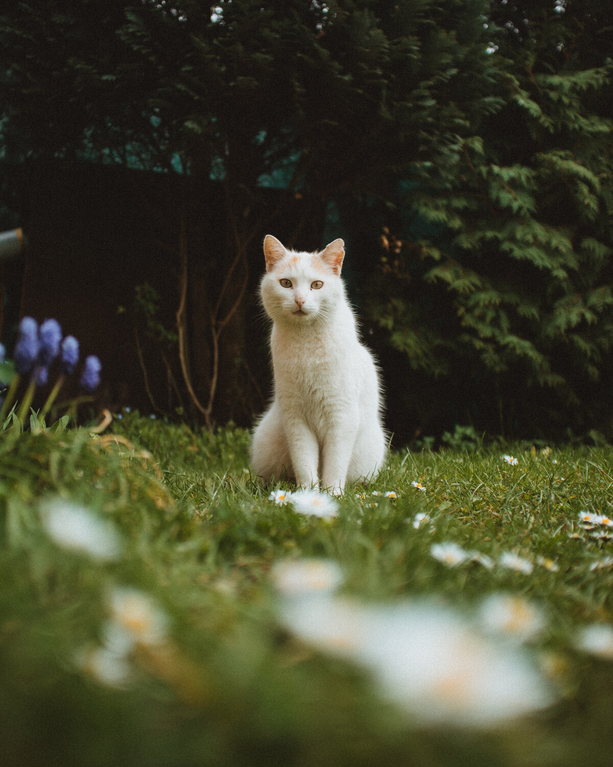 Photo #14043579
